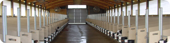 Make a Visit to Wirth and Fedewa to find out everything they can do for you!